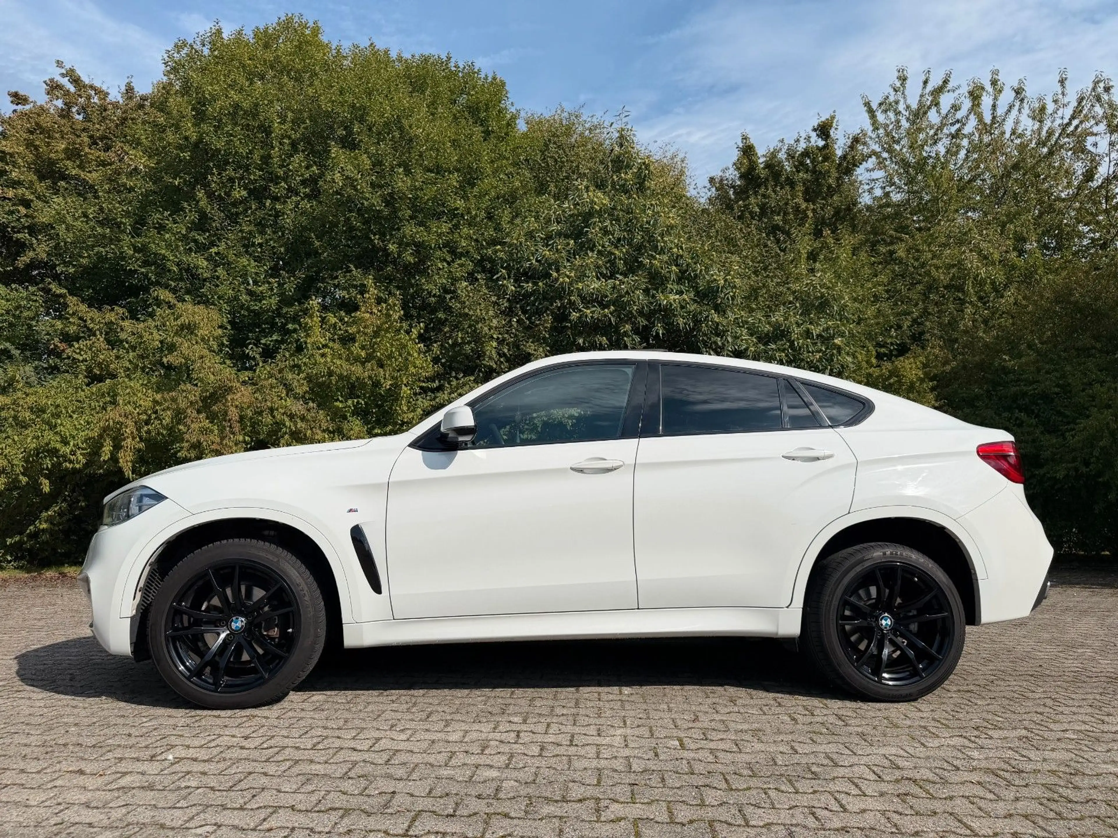 BMW X6 xDrive 30 d M -Paket Kamera Pano AHK — photo 5