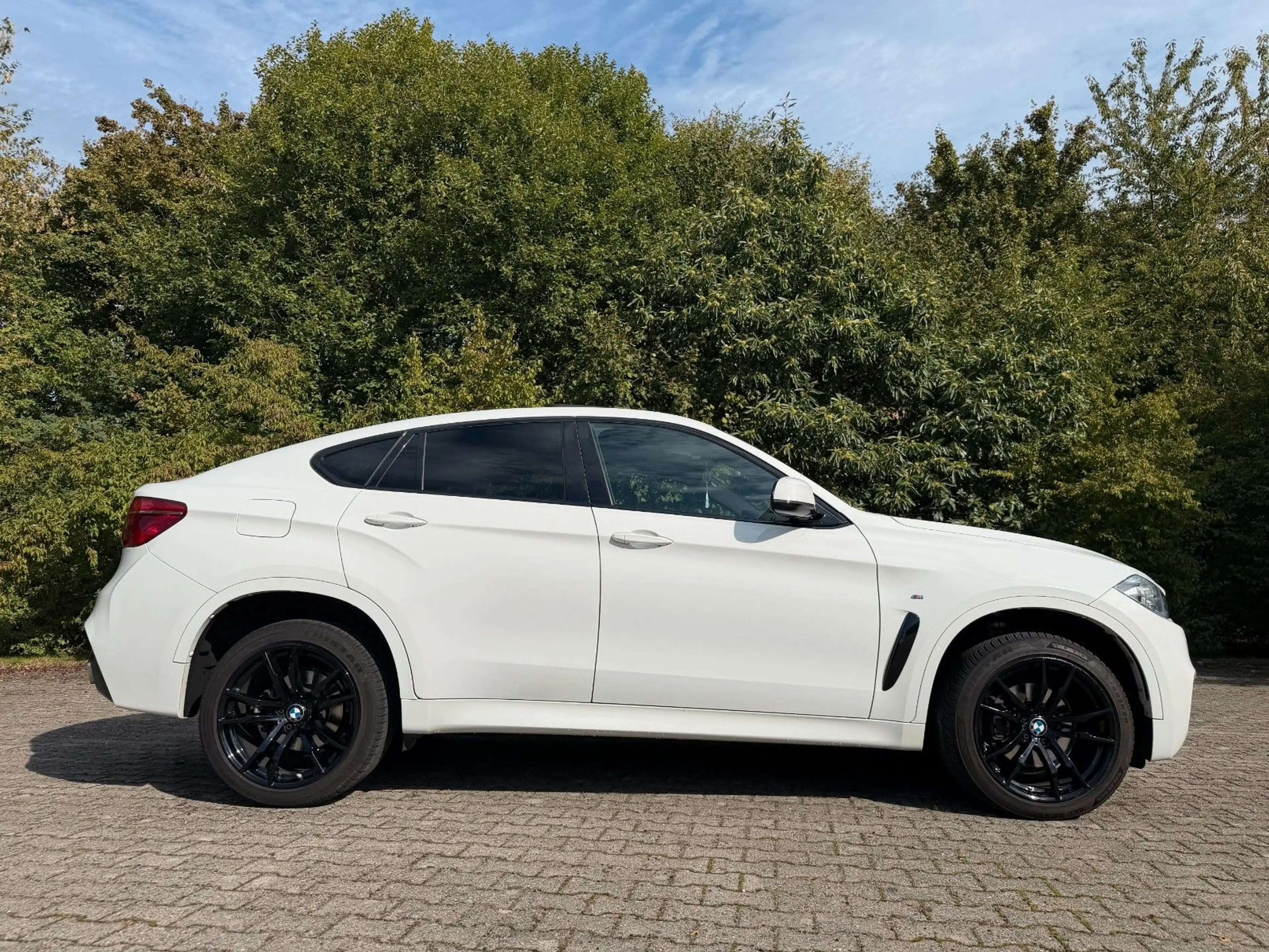BMW X6 xDrive 30 d M -Paket Kamera Pano AHK — photo 4