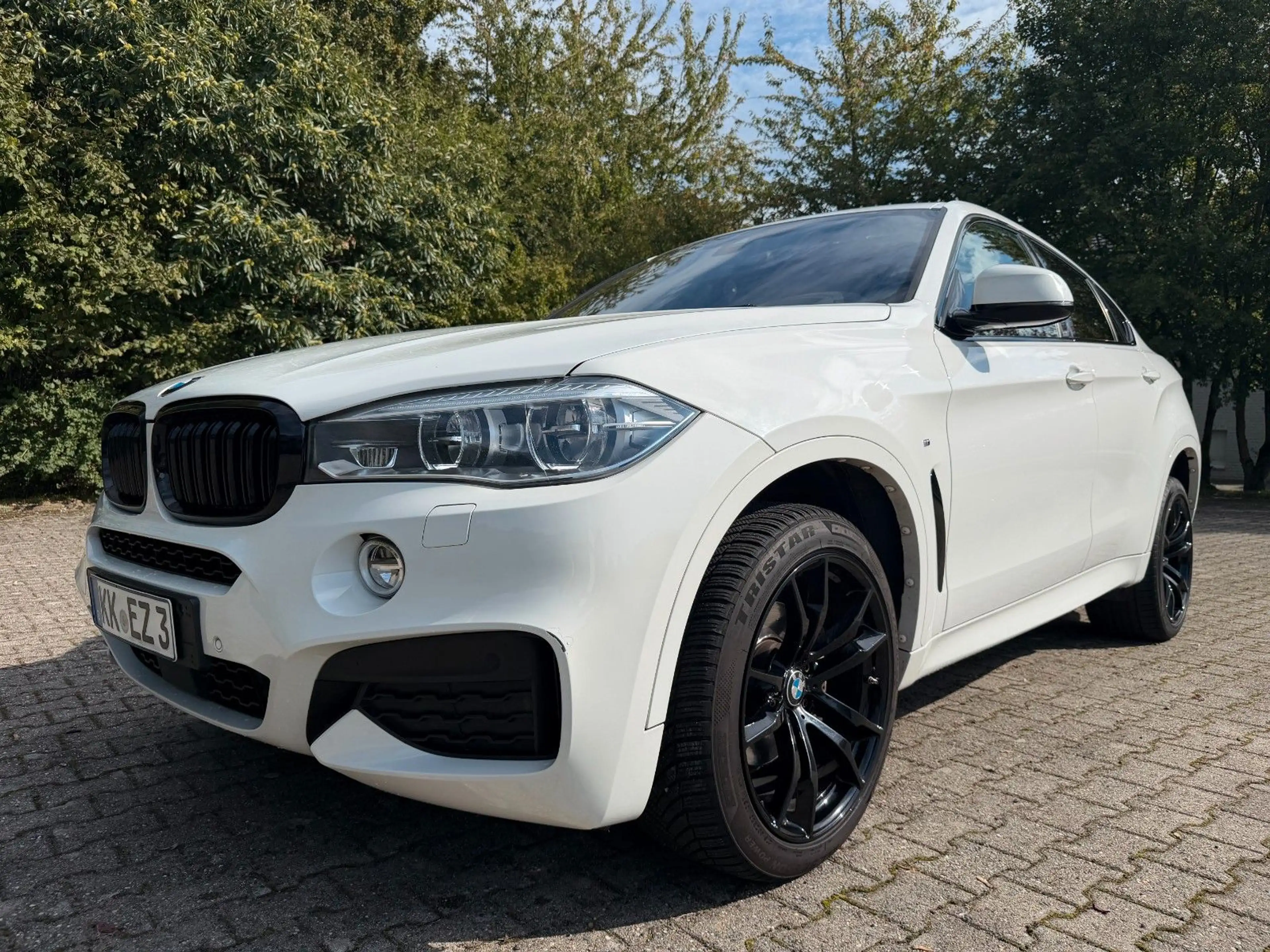 BMW X6 xDrive 30 d M -Paket Kamera Pano AHK — photo 15