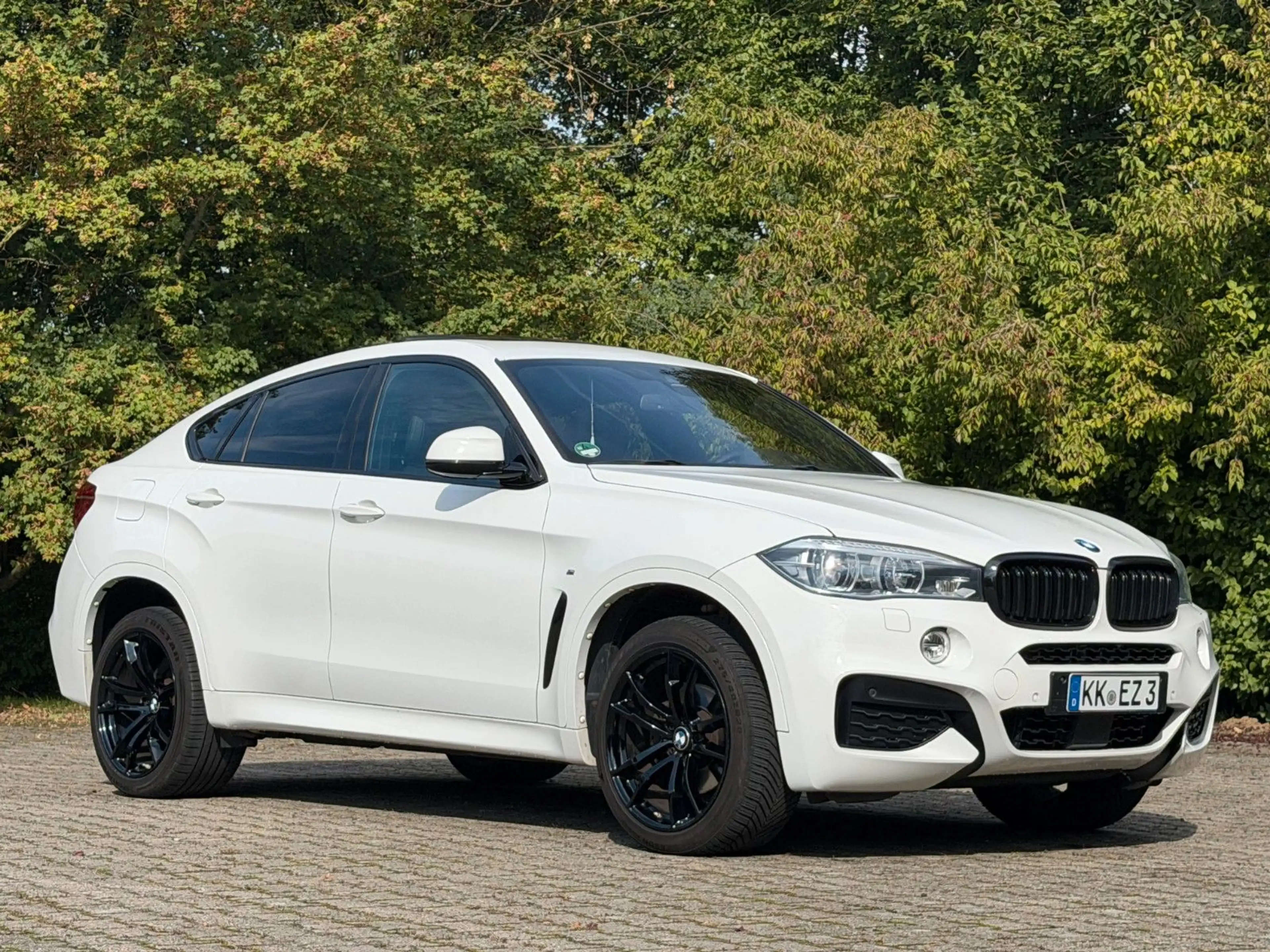 BMW X6 xDrive 30 d M -Paket Kamera Pano AHK