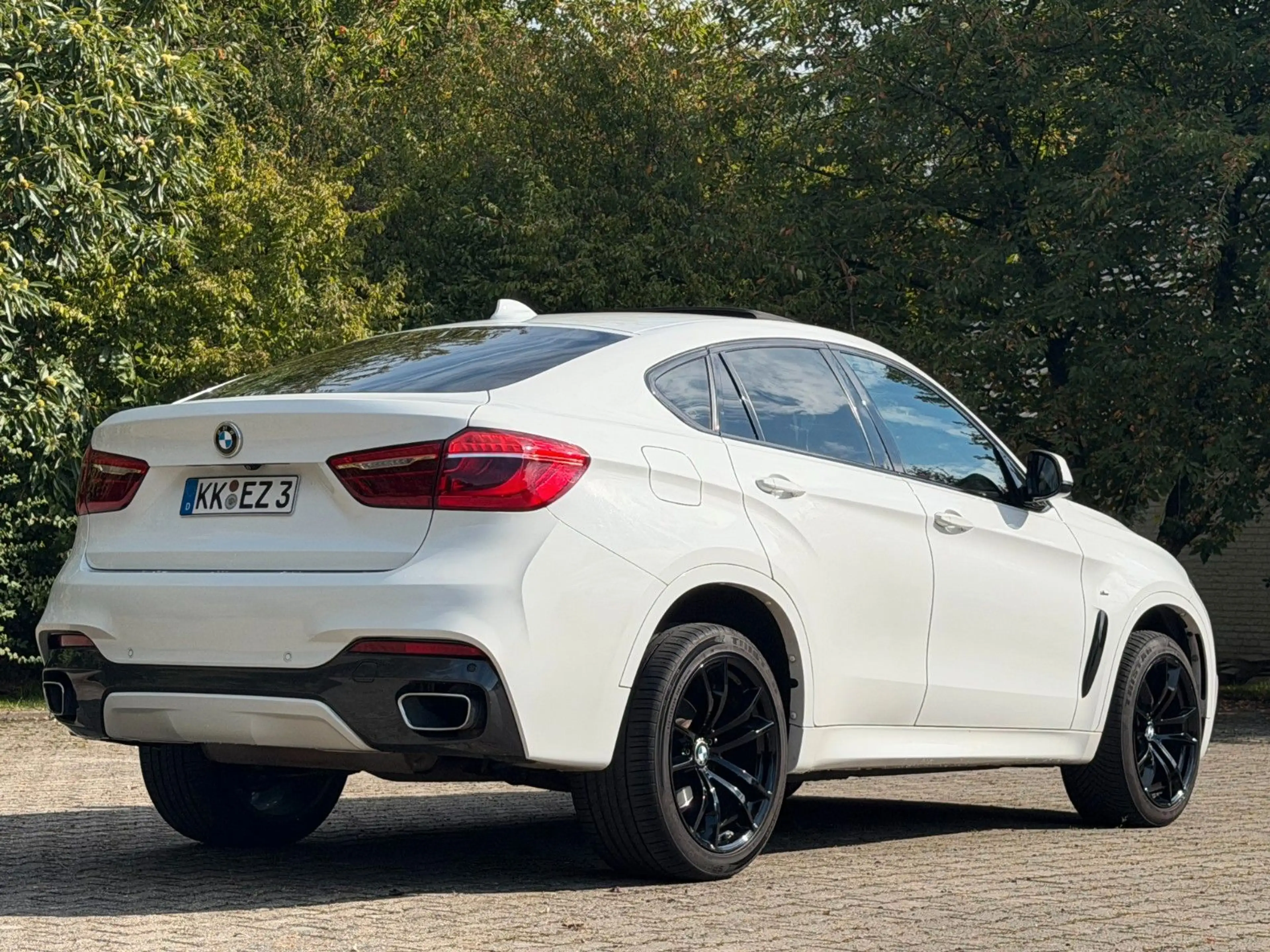 BMW X6 xDrive 30 d M -Paket Kamera Pano AHK — photo 3