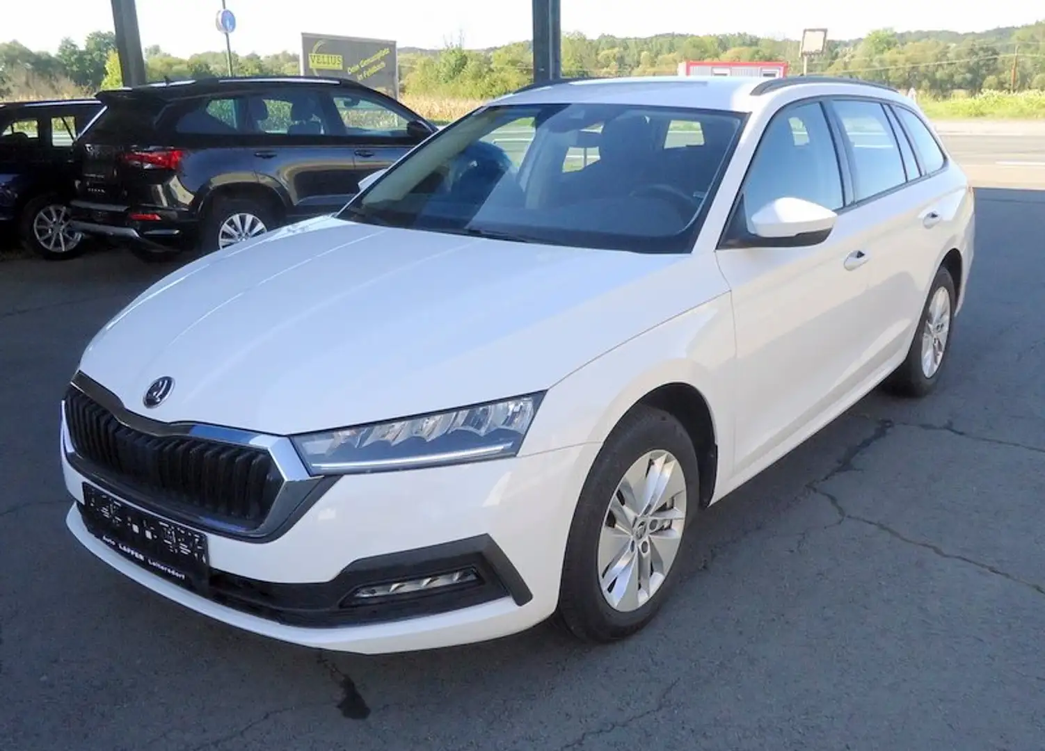 Skoda Octavia Kombi Ambition TDI **Klima**1.Bes.** Blanc - 2