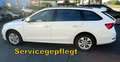 Skoda Octavia Kombi Ambition TDI **Klima**1.Bes.** Blanc - thumbnail 9