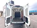 Ford Transit Kasten 350 L4 Trend - thumbnail 9