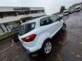 Ford EcoSport EcoSport 1.0 ecoboost Business 100cv Weiß - thumbnail 9