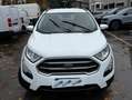 Ford EcoSport EcoSport 1.0 ecoboost Business 100cv Weiß - thumbnail 8