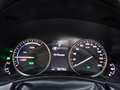 Lexus NX 300h AWD President *Dakje/Mark L./HUD/Stoelkoeling/Trek Grau - thumbnail 13