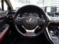 Lexus NX 300h AWD President *Dakje/Mark L./HUD/Stoelkoeling/Trek Grau - thumbnail 12
