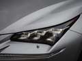 Lexus NX 300h AWD President *Dakje/Mark L./HUD/Stoelkoeling/Trek Grau - thumbnail 2