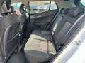 Kia Sportage 1.6 tgdi hev Style auto Bianco - thumbnail 10