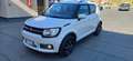 Suzuki Ignis Ignis 1.2 Dualjet Cool Blanco - thumbnail 1