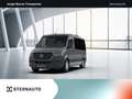 Mercedes-Benz Sprinter Sprinter 315 CDI Tourer Grau - thumbnail 1