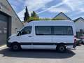 Mercedes-Benz Sprinter 313 2.2 CDI 366 | Rolstoel Vervoer | Airco | Cruis Wit - thumbnail 5