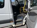 Mercedes-Benz Sprinter 313 2.2 CDI 366 | Rolstoel Vervoer | Airco | Cruis Wit - thumbnail 13