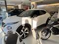 Nissan Juke Juke 1.0 dig-t N-Connecta 114cv dct Bianco - thumbnail 3