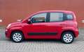 Fiat Panda TwinAir 60PK Edizione Cool Rood - thumbnail 4