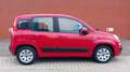 Fiat Panda TwinAir 60PK Edizione Cool Rood - thumbnail 3