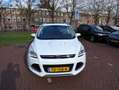 Ford Kuga 1.6 Titanium Plus panoramadak cruisecontrol telefo Wit - thumbnail 5