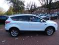 Ford Kuga 1.6 Titanium Plus panoramadak cruisecontrol telefo Wit - thumbnail 7