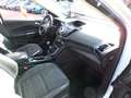 Ford Kuga 1.6 Titanium Plus panoramadak cruisecontrol telefo Wit - thumbnail 15