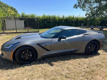 Stingray