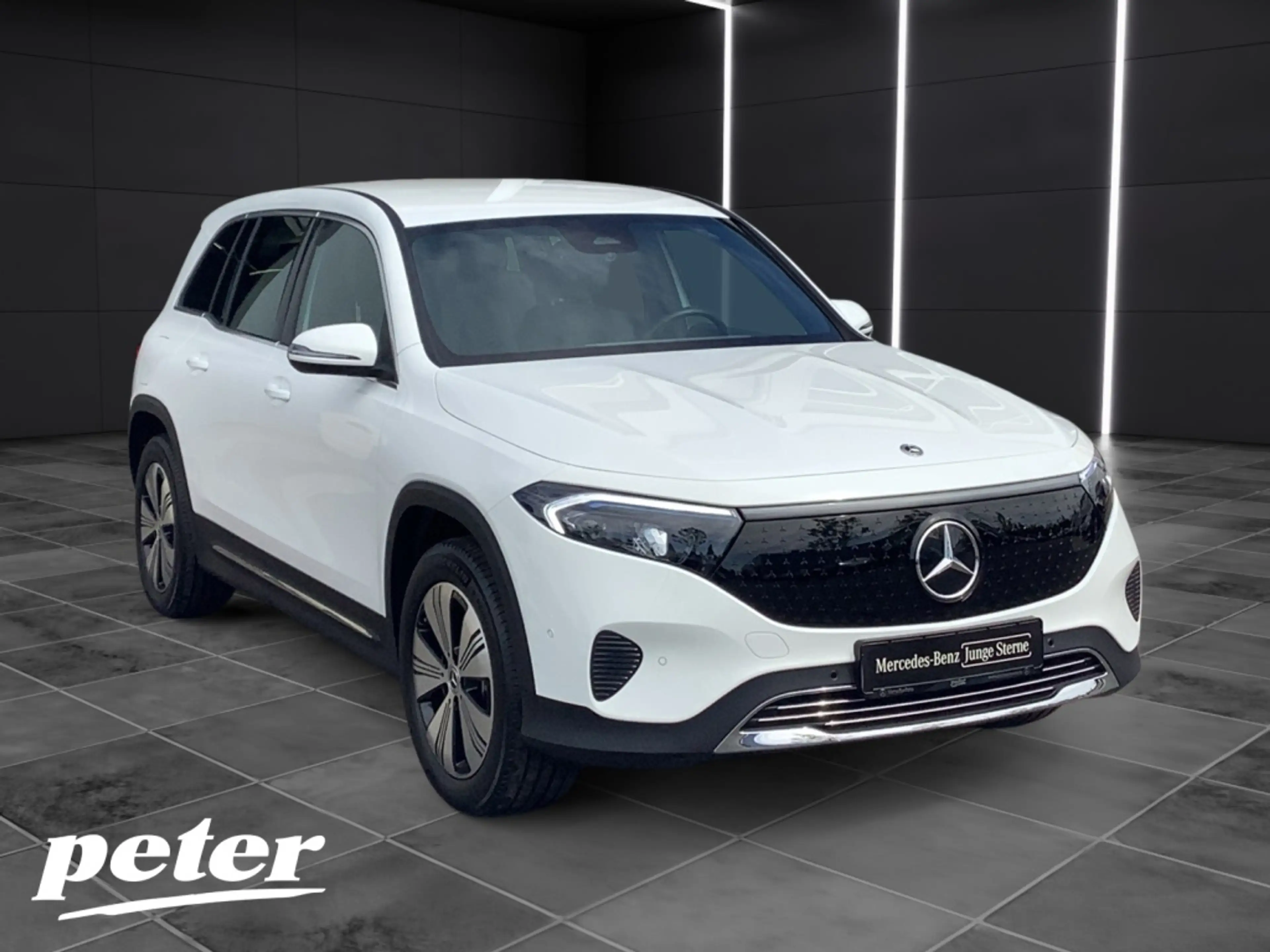 Mercedes-Benz EQB 300 4M Progressive*Advanced*LED*Kamera*AHK* — photo 4