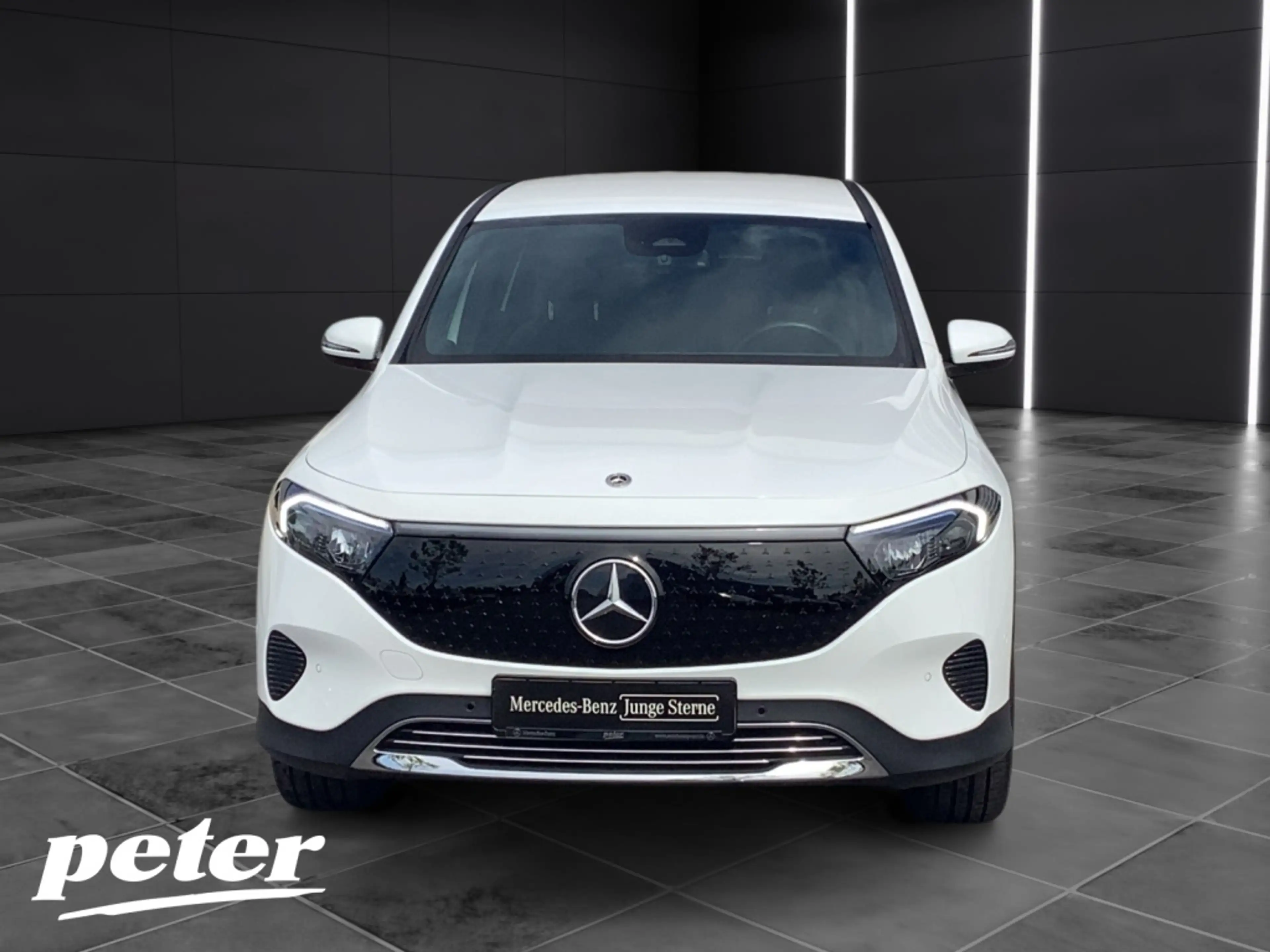 Mercedes-Benz EQB 300 4M Progressive*Advanced*LED*Kamera*AHK* — photo 3