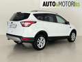 Ford Kuga 1.5 TDCI 120 CV S&S 2WD Titanium Bianco - thumbnail 4