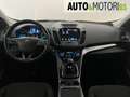 Ford Kuga 1.5 TDCI 120 CV S&S 2WD Titanium Bianco - thumbnail 10