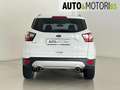 Ford Kuga 1.5 TDCI 120 CV S&S 2WD Titanium Bianco - thumbnail 5