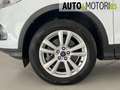 Ford Kuga 1.5 TDCI 120 CV S&S 2WD Titanium Bianco - thumbnail 8