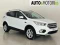 Ford Kuga 1.5 TDCI 120 CV S&S 2WD Titanium Bianco - thumbnail 3