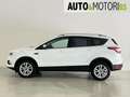 Ford Kuga 1.5 TDCI 120 CV S&S 2WD Titanium Bianco - thumbnail 7