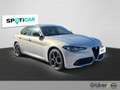 Alfa Romeo Giulia GIULIA 2.0 TURBO VELOCE Q4 --LEDER-NAVI-19-- Gris - thumbnail 3
