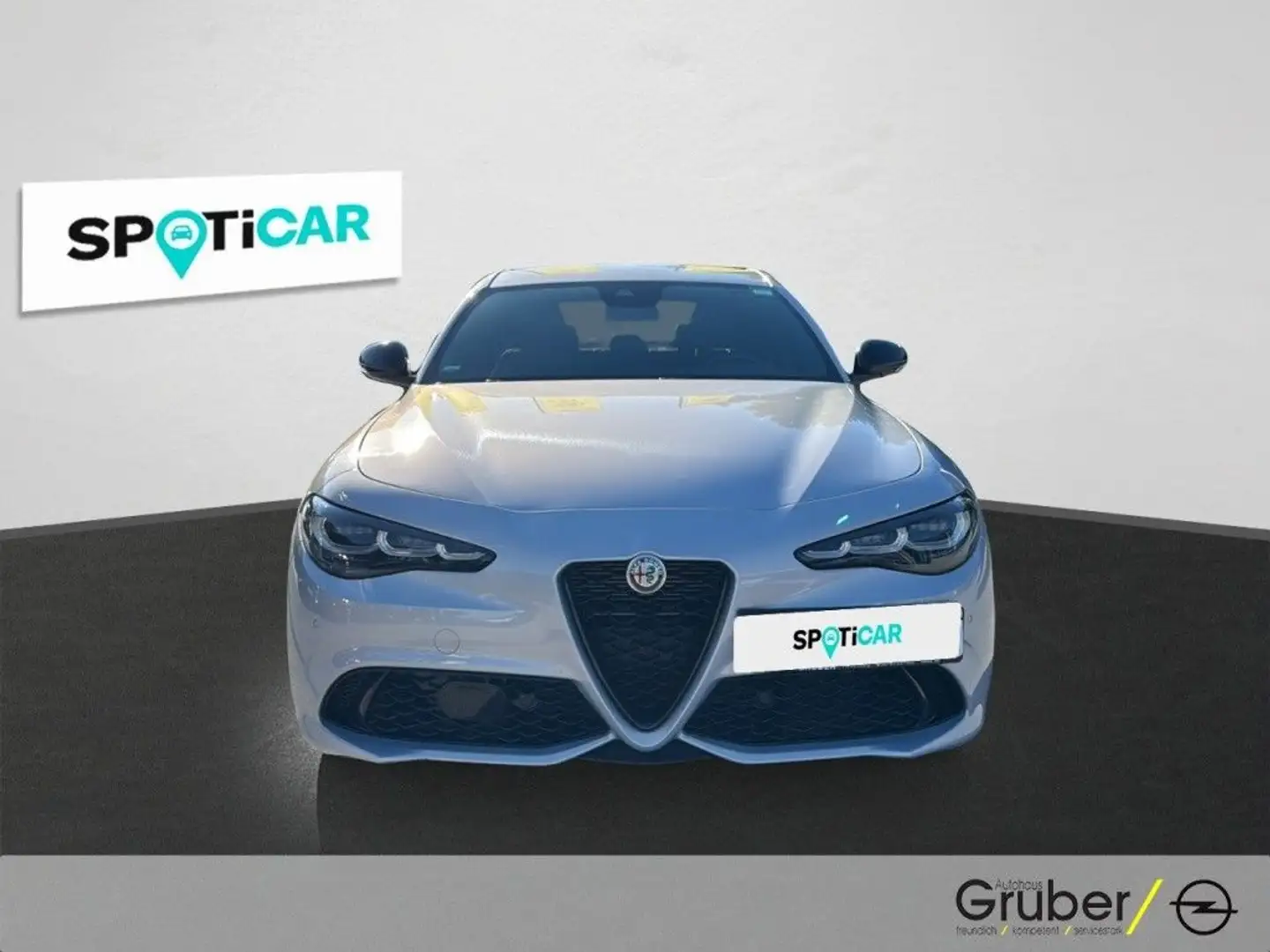Alfa Romeo Giulia GIULIA 2.0 TURBO VELOCE Q4 --LEDER-NAVI-19-- Gris - 2