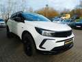 Opel Grandland X Grandland GS+SHZ+LRH+KAMERA+KLIMA Weiß - thumbnail 5