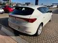 SEAT Leon Leon 2.0 TDI Style Bianco - thumbnail 5