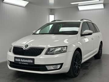 Combi Ambition Tempomat 18 Zoll AHK Navi