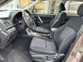 Subaru Forester Exclusive Bruin - thumbnail 6