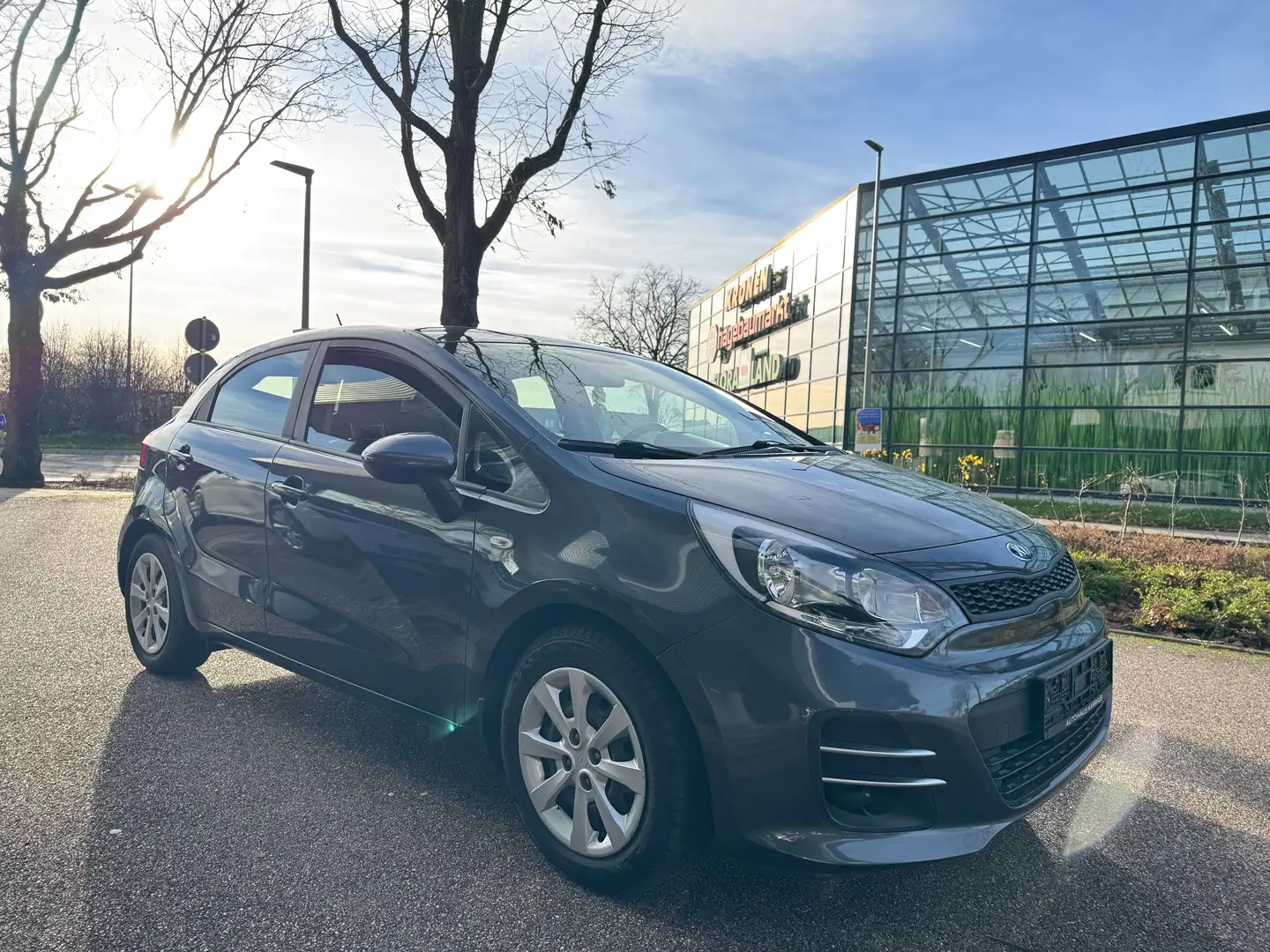 Kia Rio Edition 7 Gris - 2