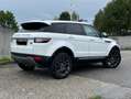 Land Rover Range Rover Evoque Range Rover Evoque Pure 2,0 eD4 e-Capability Pure Weiß - thumbnail 3
