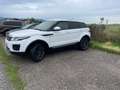 Land Rover Range Rover Evoque Range Rover Evoque Pure 2,0 eD4 e-Capability Pure Weiß - thumbnail 13
