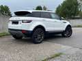 Land Rover Range Rover Evoque Range Rover Evoque Pure 2,0 eD4 e-Capability Pure Weiß - thumbnail 4