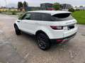 Land Rover Range Rover Evoque Range Rover Evoque Pure 2,0 eD4 e-Capability Pure Weiß - thumbnail 9