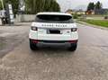 Land Rover Range Rover Evoque Range Rover Evoque Pure 2,0 eD4 e-Capability Pure Weiß - thumbnail 10