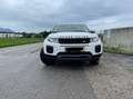 Land Rover Range Rover Evoque Range Rover Evoque Pure 2,0 eD4 e-Capability Pure Weiß - thumbnail 12