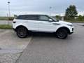 Land Rover Range Rover Evoque Range Rover Evoque Pure 2,0 eD4 e-Capability Pure Weiß - thumbnail 11
