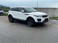 Land Rover Range Rover Evoque Range Rover Evoque Pure 2,0 eD4 e-Capability Pure Weiß - thumbnail 1