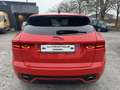 Jaguar E-Pace D150 AWD Aut. R-Dynamic HSE 1-prop - thumbnail 5