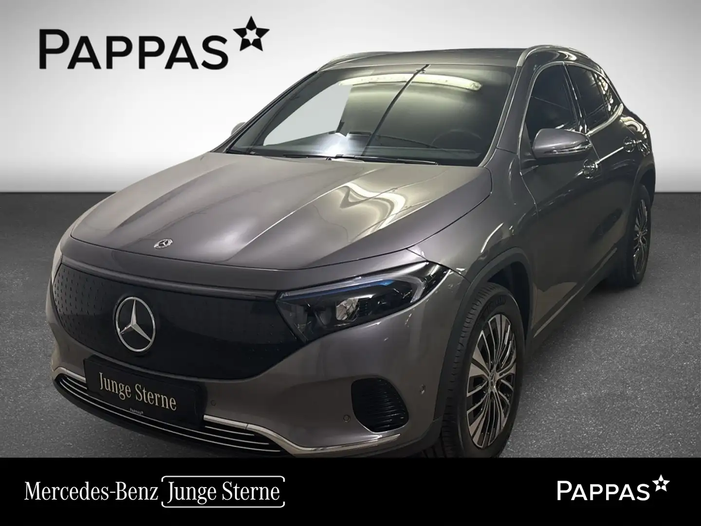 Mercedes-Benz EQA 350 4MATIC PTS Cam Navi Wide AHK LED SHZ Grau - 1